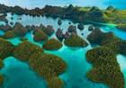 Menggagahi Raja Ampat, Melumpuhkan Keseimbangan Ekosistem 