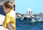 Jelajahi Fauna Australia Barat yang Kaya, Berinteraksi dengan Satwa Liar
