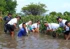 Sharp Indonesia Tanam 5.500 Pohon Mangrove dan Pulihkan Terumbu Karang di Kawasan Pesisir yang Terancam