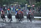 Kenapa Triple Crown Pacuan Kuda Sangat Bergengsi?