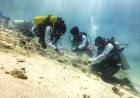 Penanaman 1000 Terumbu Karang di Titik Terujung Barat Indonesia Dukung Ekosistem Laut yang Sehat