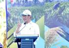 Tanam Jagung Serentak Bersama DPD RI, Mentan Amran Terus Dorong Lompatan Produksi Pangan
