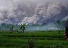 Gunung Semeru Erupsi, Awan Panas Meluncur Sejauh Lebih dari 5 Km
