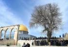Indonesia Kutuk Langkah Israel Tutup Masjid Al-Aqsa Palestina