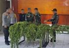 Satgas Swasembada Berhasil Ungkap Ladang Ganja di Pegunungan Bintang