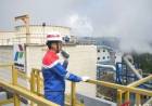 Di Kuartal I 2026,  PGE Cetak Laba Bersih 43,9 Juta Dolar AS